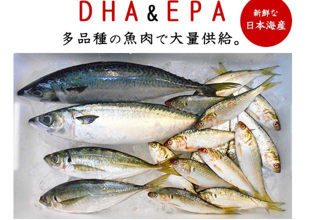 新鮮な多品種の魚肉の画像
